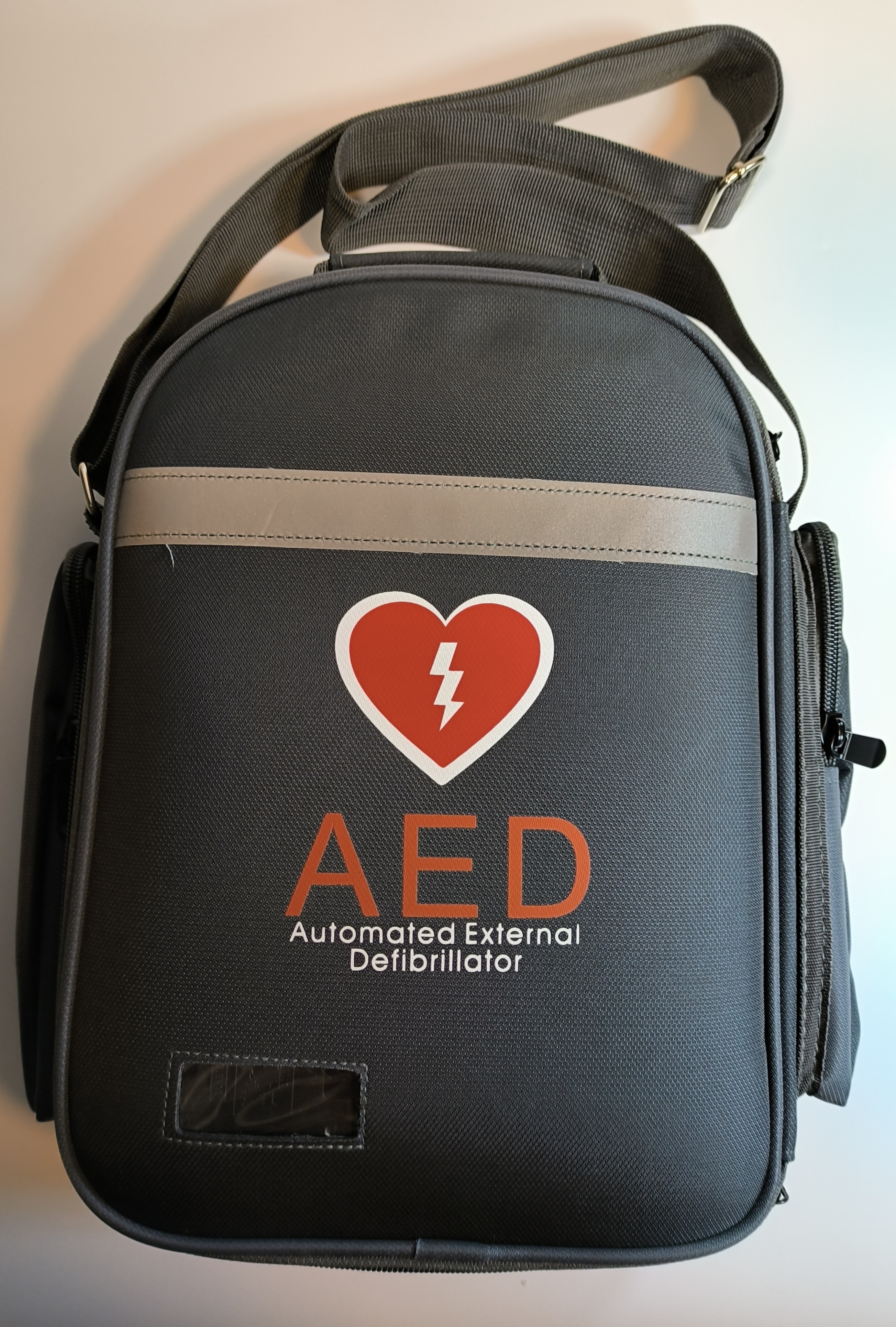 Trainer carrying case